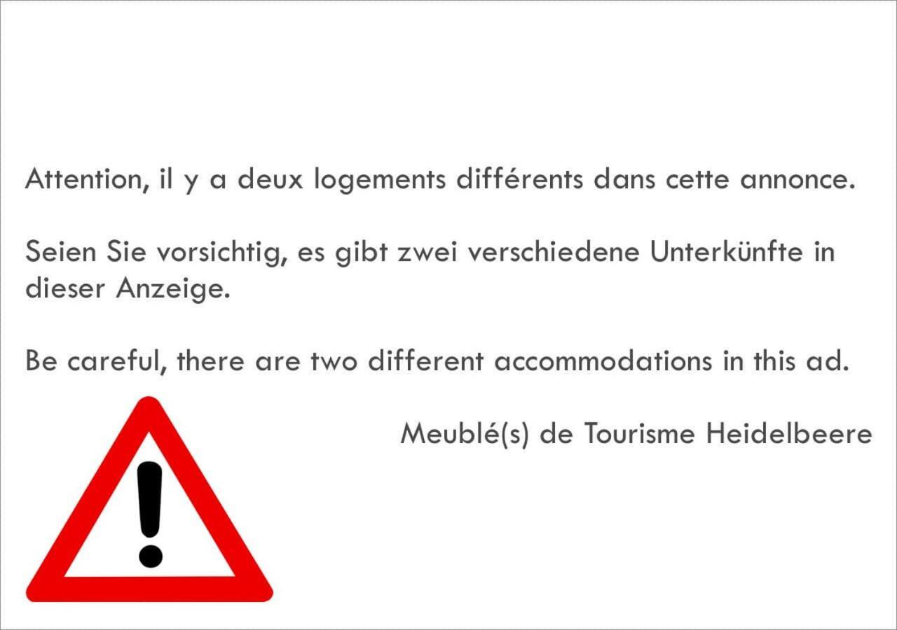 Meubles De Tourisme Heidelbeere Apartment Dambach Exterior photo